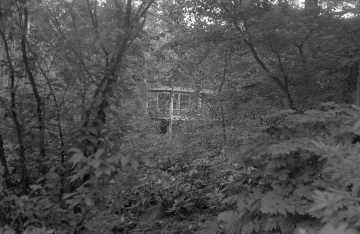park Szczytnicki - park japoński - herbaciarnia nad stawem, skan 1
