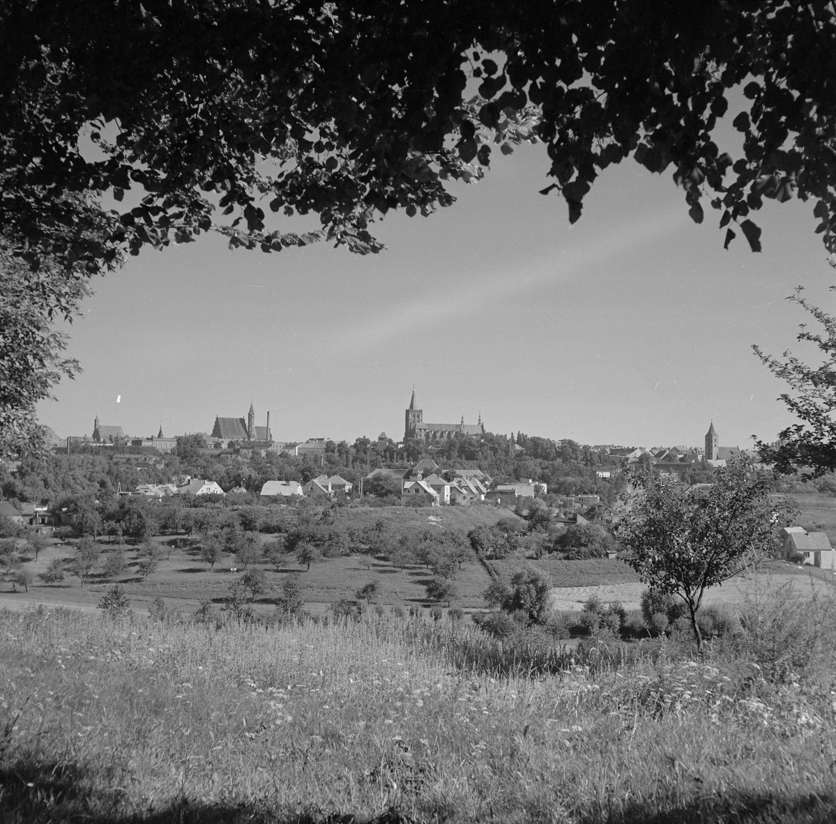 Panorama miasta od strony płn. Widoczne: kościół archiprezbiterialny oraz kościół pofranciszkański. Poniżej zabudowa miejska., skan 1