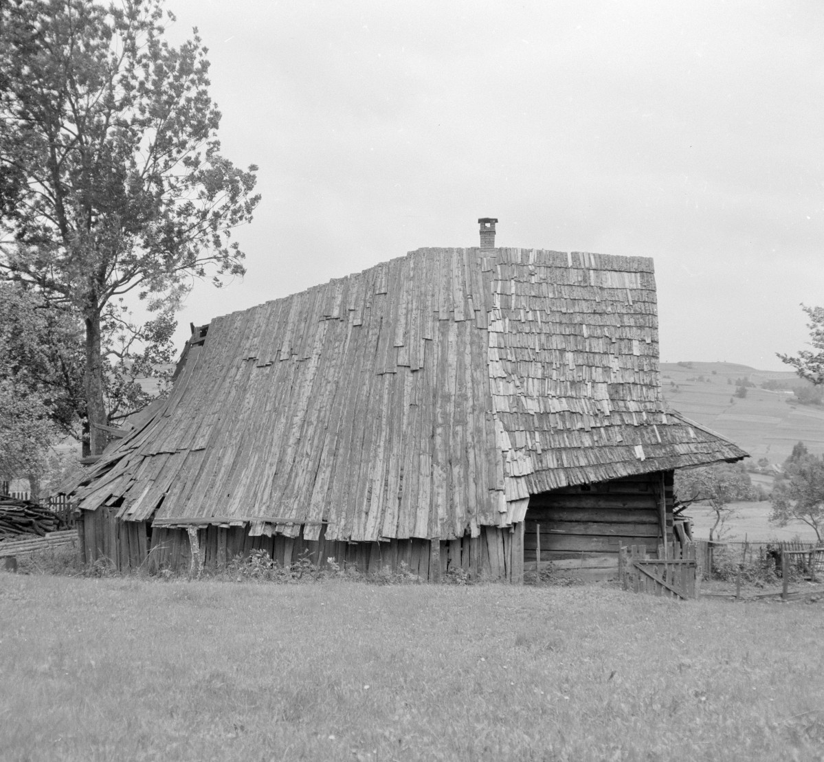 chata - elewacja od tyłu, skan 1