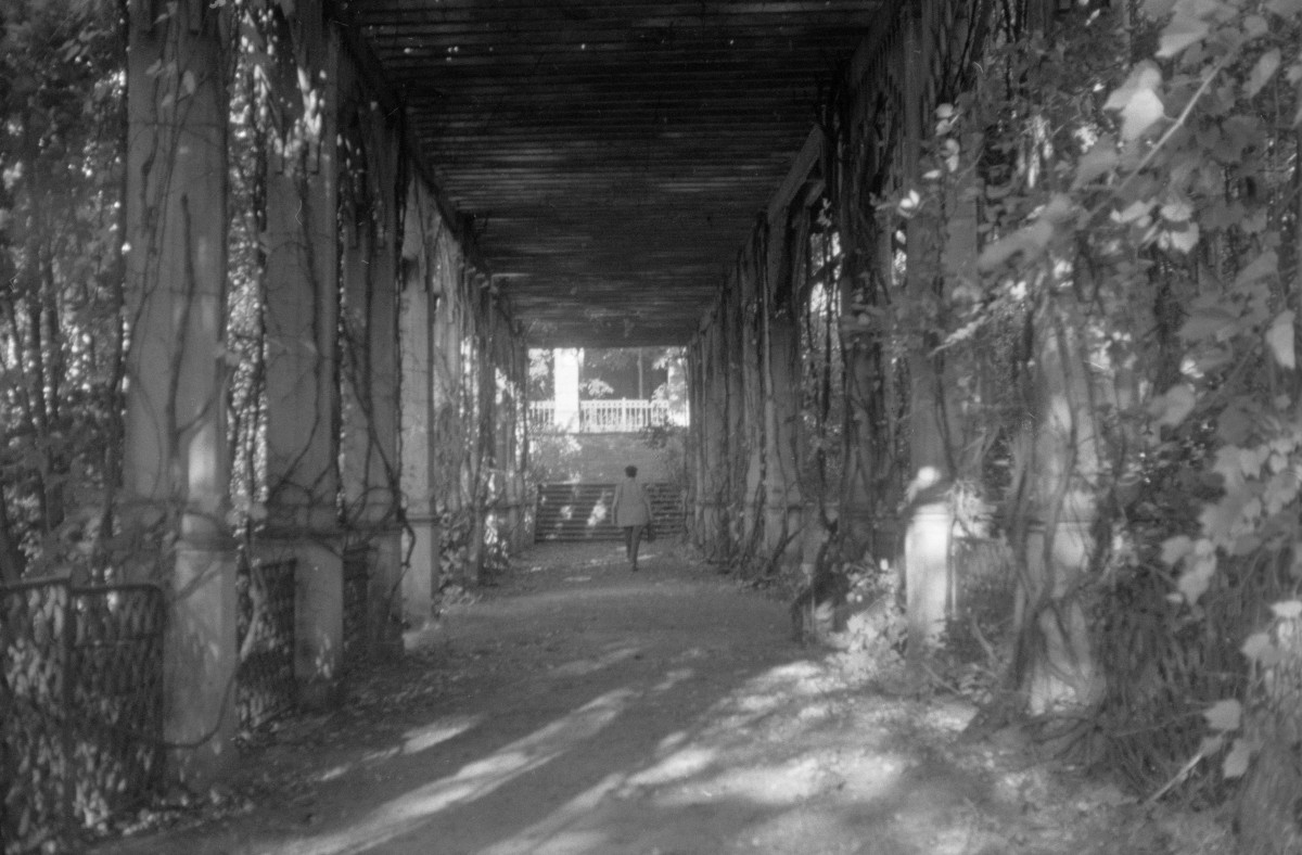 pałac Marianny Orańskiej - pergola, skan 1