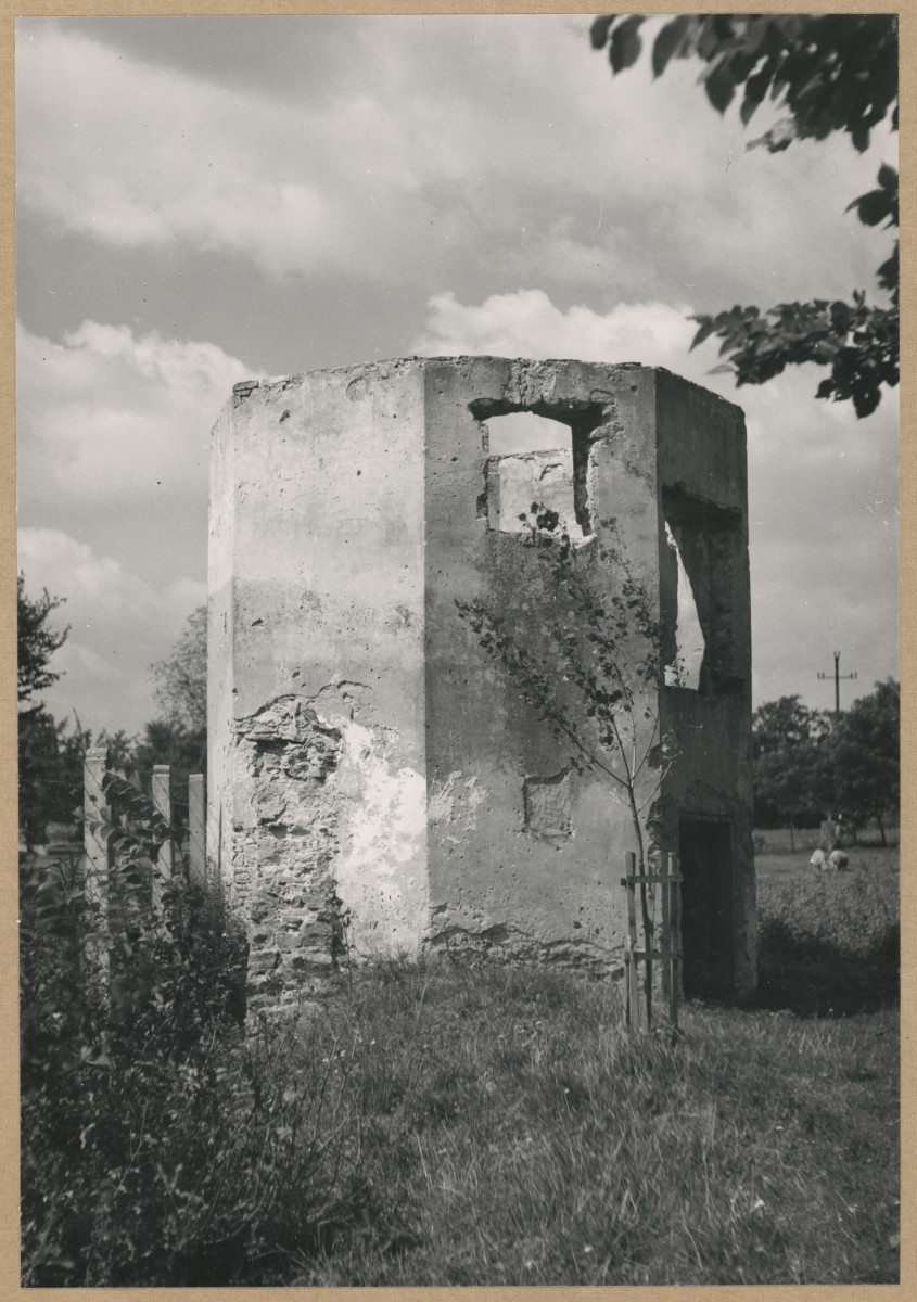 Zespół pałacowy - ruiny baszty, widok ogólny, skan 1