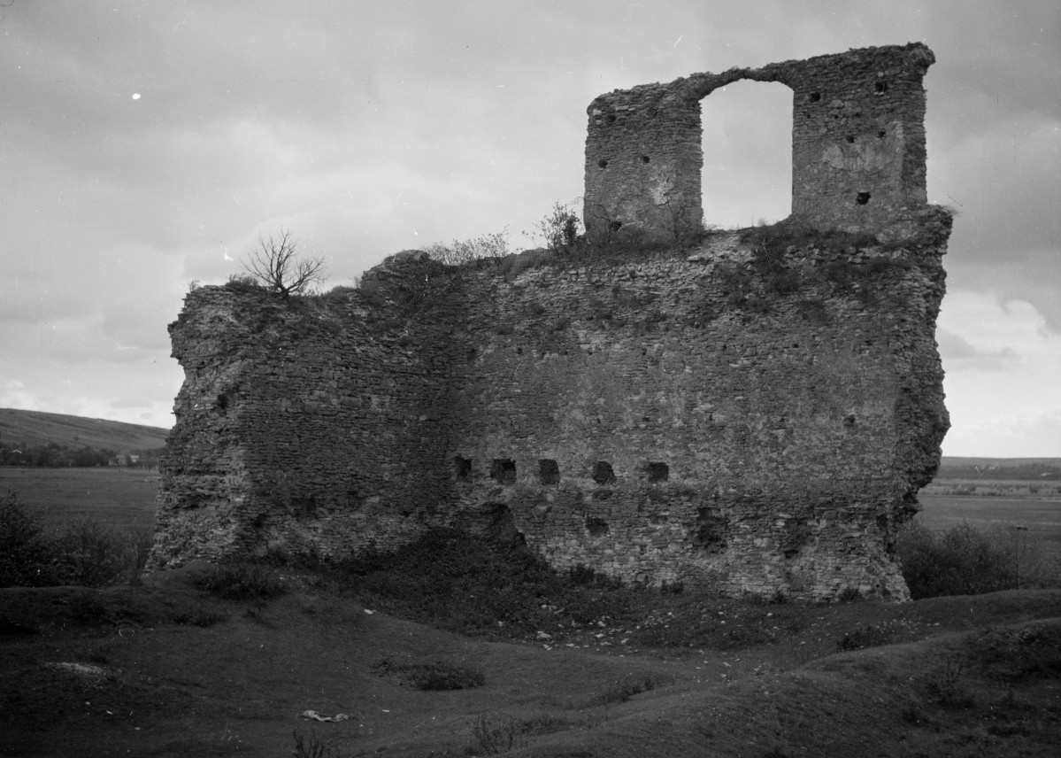 ruiny zamku, ściana płn.-wsch. - widok ogólny, skan 1