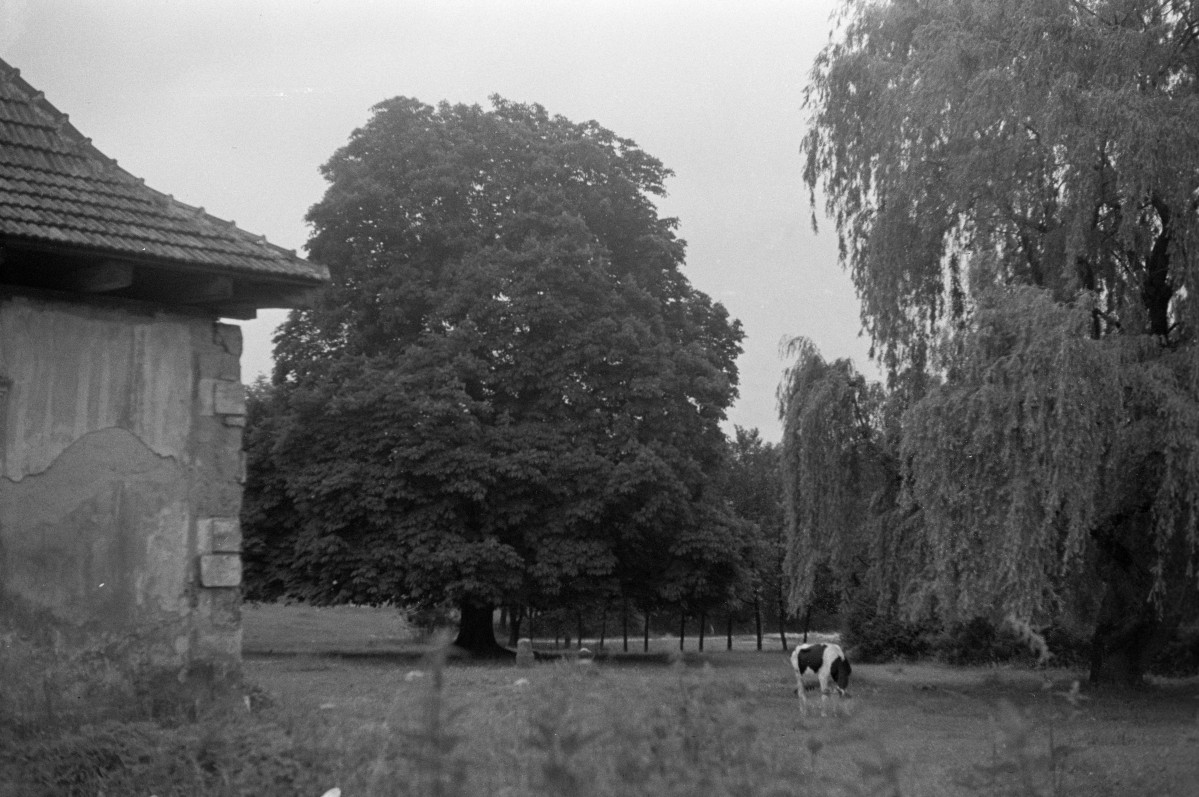 dwór - fragment elewacji oraz park, skan 1