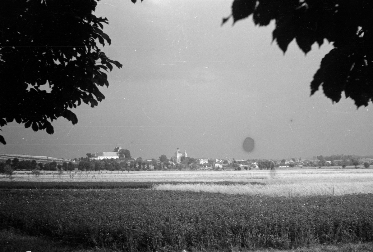 miasto - widok ogólny od zachodu, skan 1