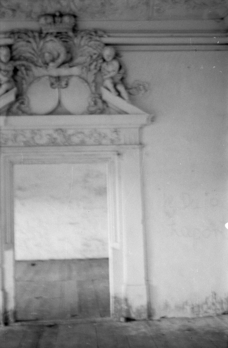 pałac - wnętrze, portal, skan 1