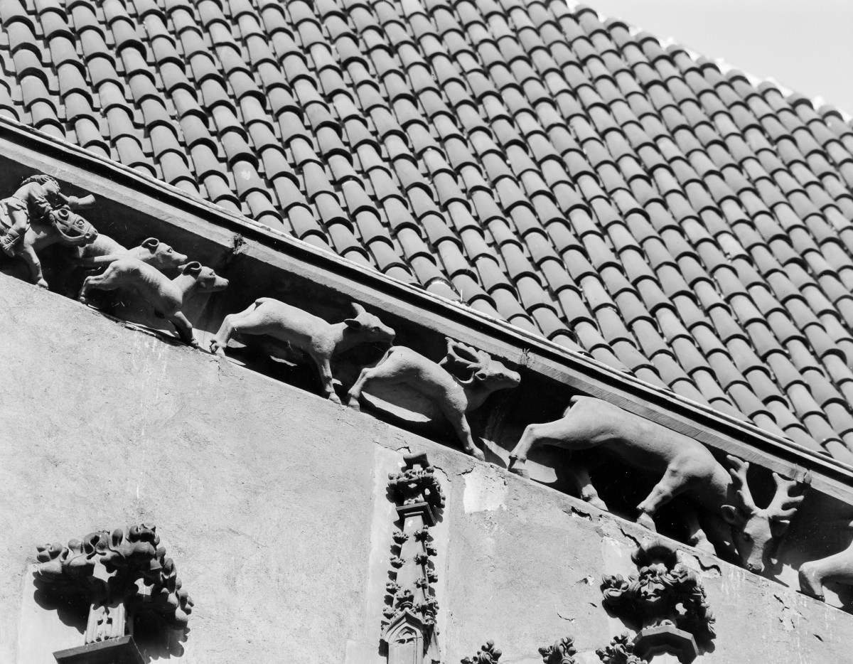 Ratusz - elewacja południowa, fragment fryzu, skan 1