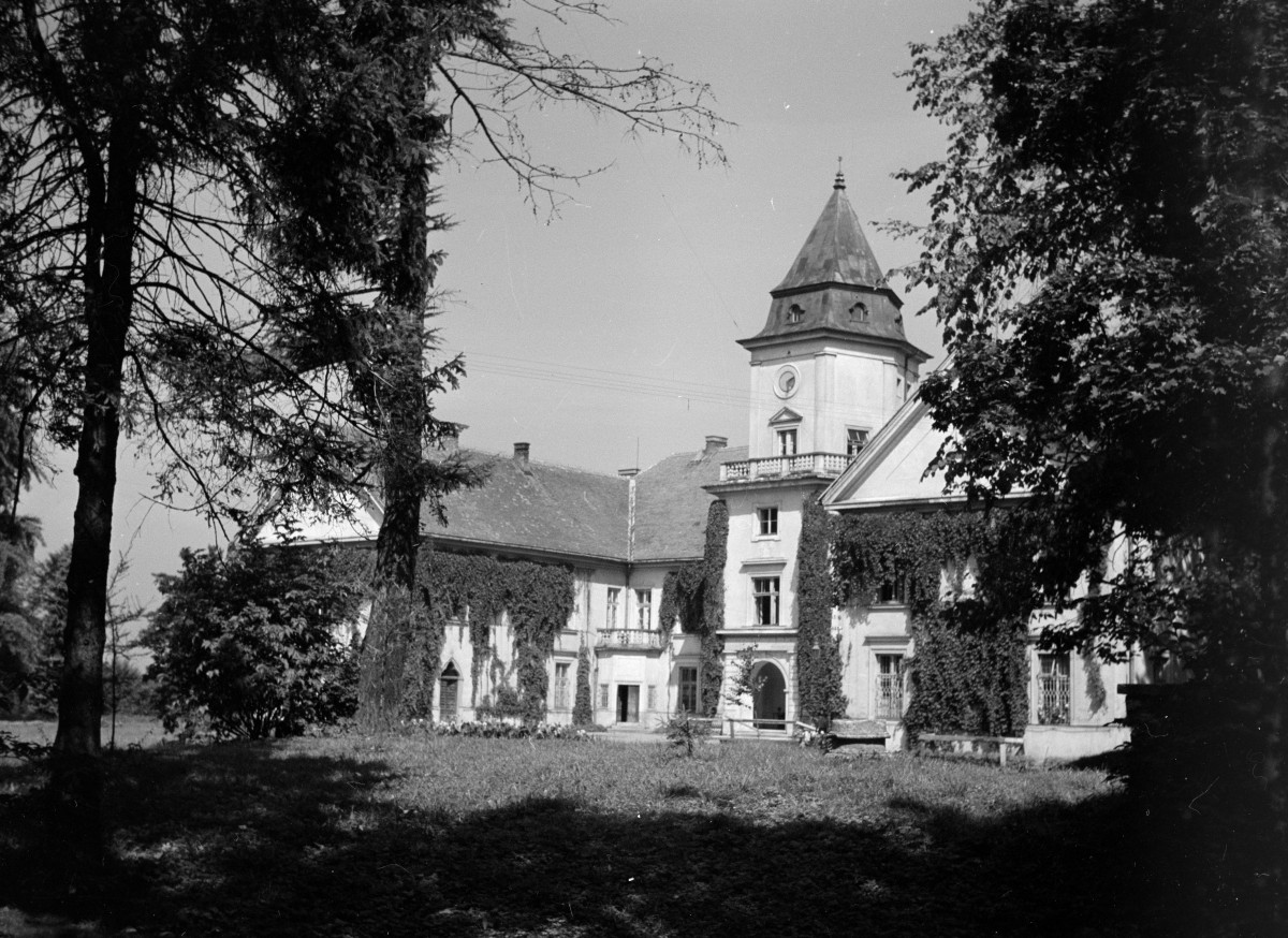 widok ogólny na Pałac Tarnowskich w Dzikowie (ob. w Tarnobrzegu), widok na elewacje frontową, skan 1