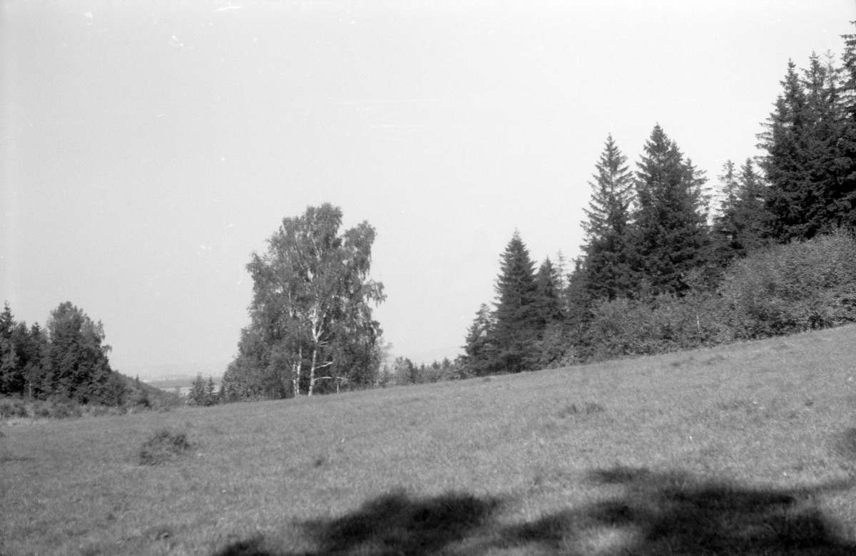 zamek Książ - park krajobrazowy - fragment, skan 1