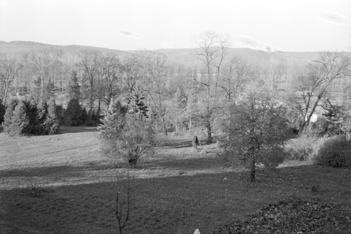 widok z II piętra zamku na park nowy oraz San, skan 1