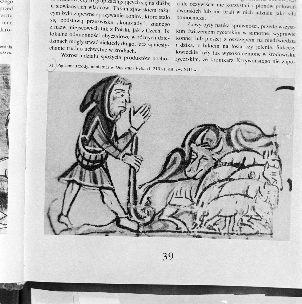 Kultura Polski Średniowiecznej X-XIII w. pod red. J. Dowiata (1985r.) - il. 31 Pędzenie trzody, miniatura w Digestum Vetus (f.210v), ost. ćw. XIII w., skan 1