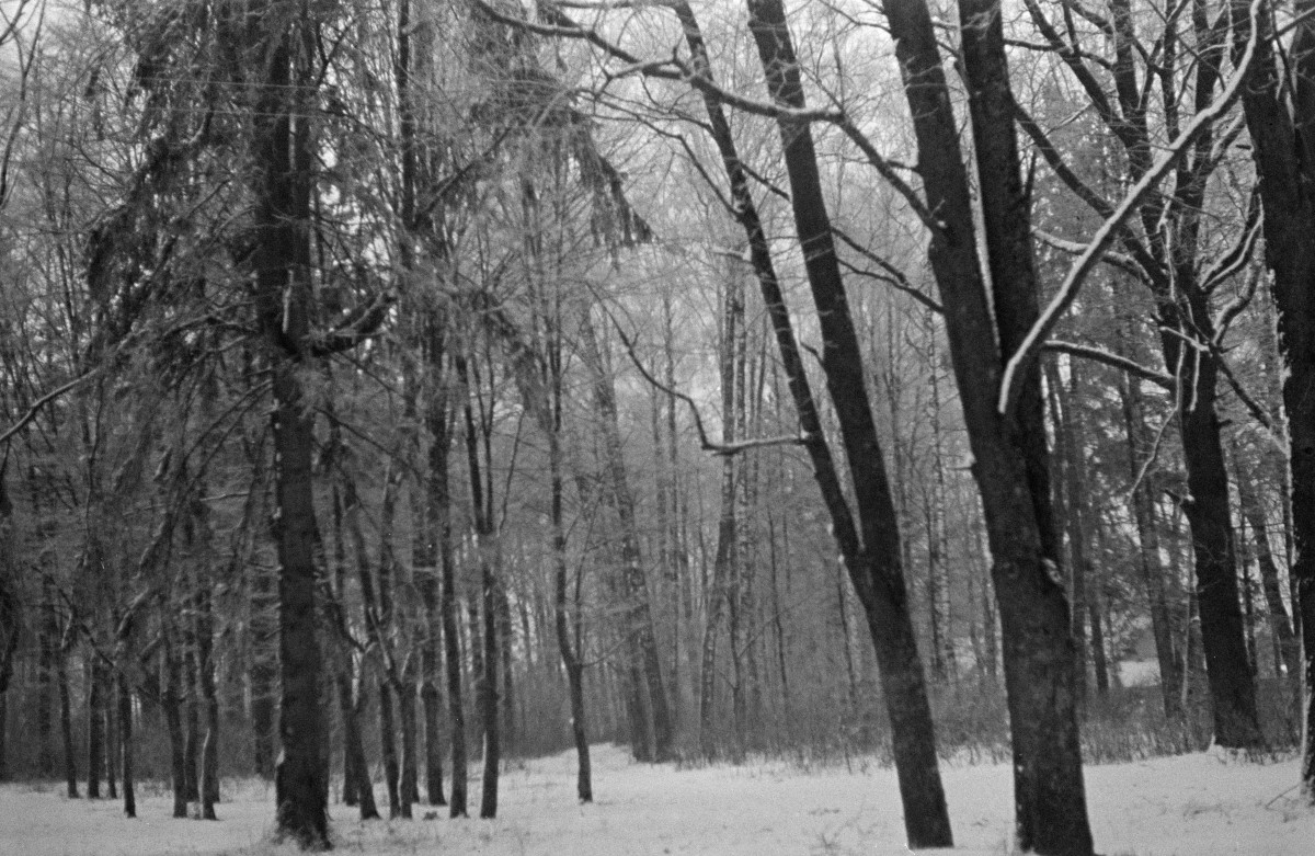 park - aleja, skan 1