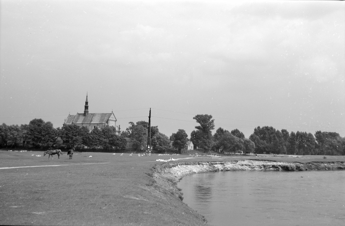 Widok na kościół parafialny pw. Świętej Trójcy oraz fragment nabrzerza rzeki Czarna., skan 1