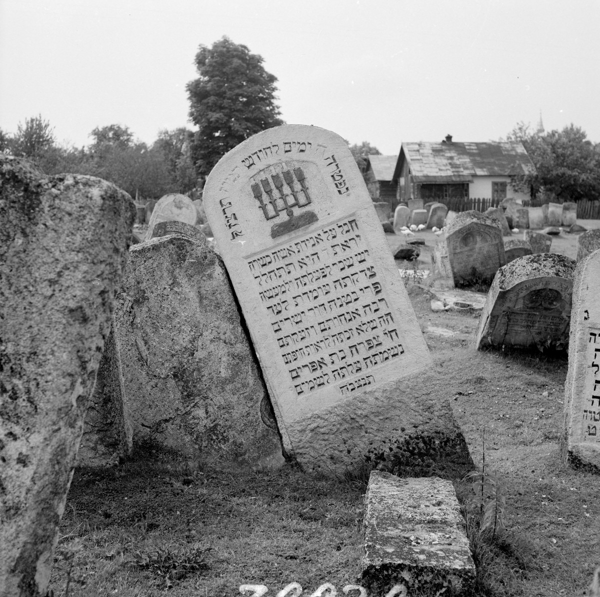 Cmentarz, Kirkut - macewy, skan 1
