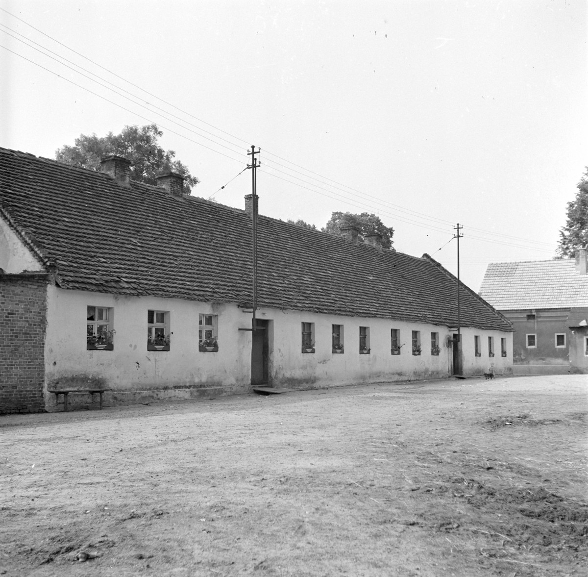 pałac - czworaki, elewacja, skan 1