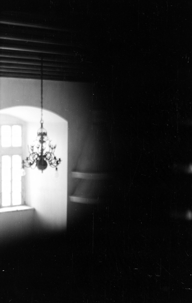 Wnętrze kolegiaty. Kolumna., skan 1