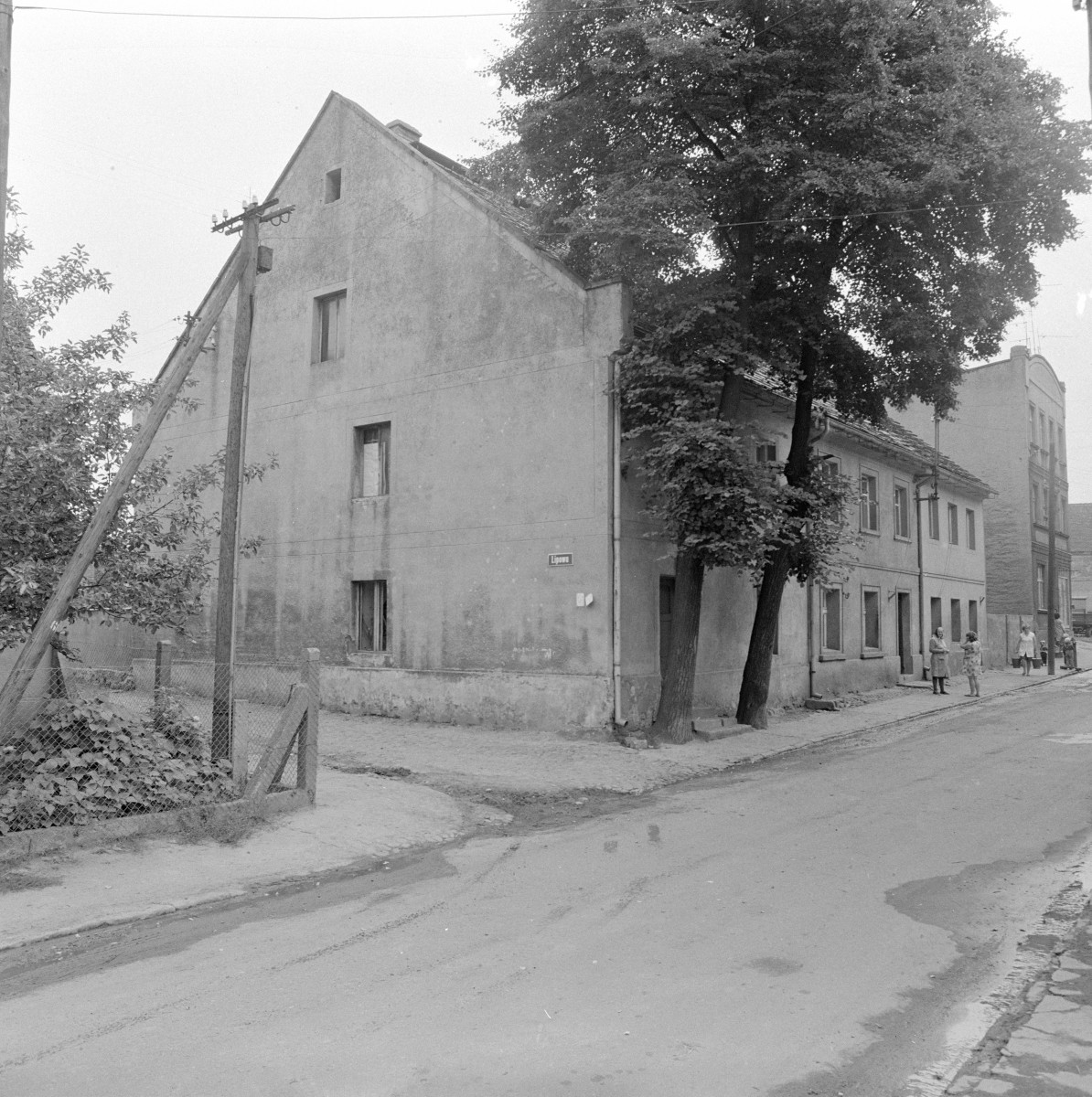 dom mieszkalny - widok zewnętrzny, skan 1