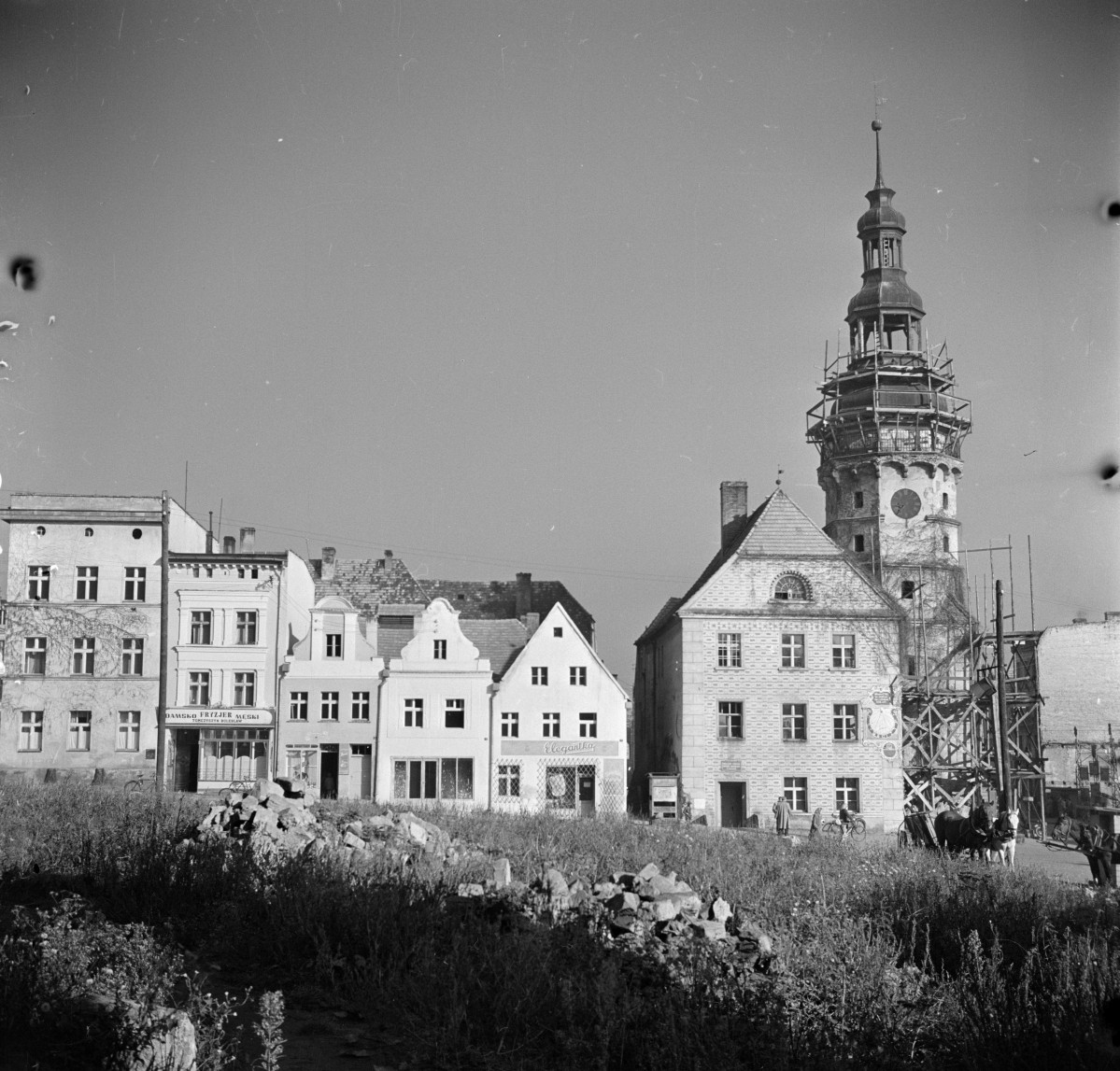 kamienice i ratusz - widok ogólny, skan 1