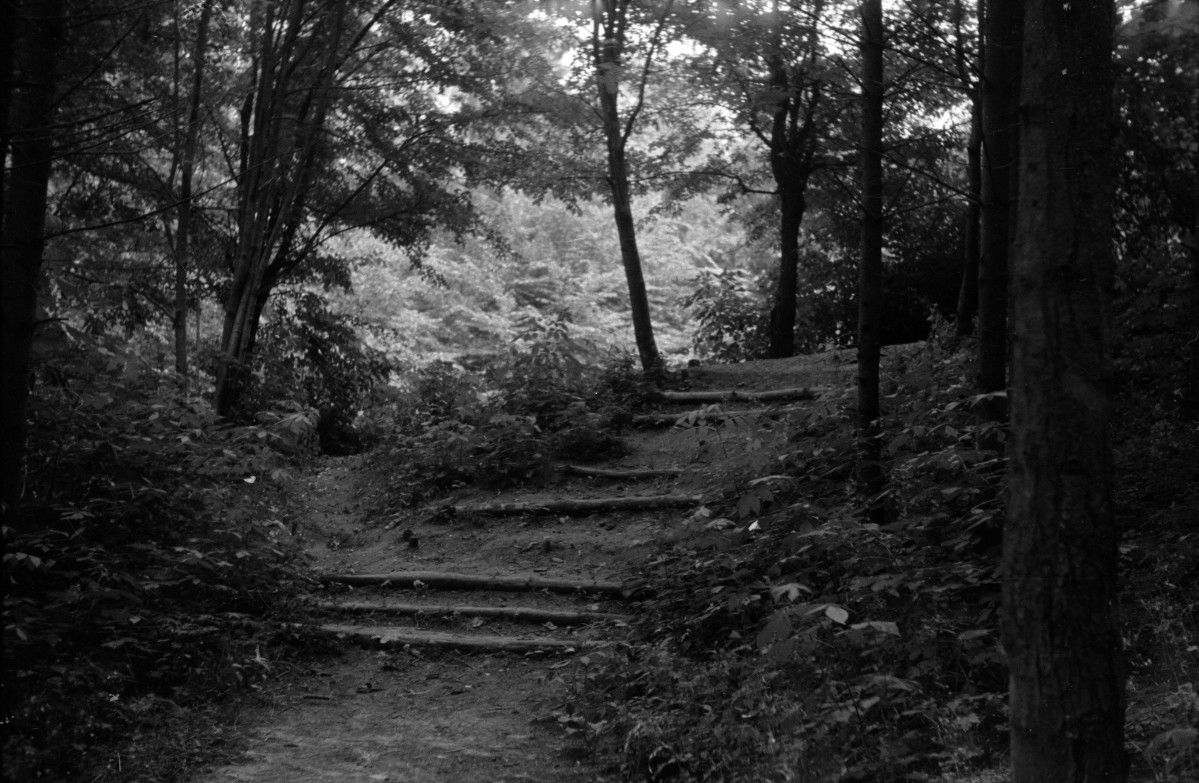 park miejski - schody z bali drewnianych, skan 1