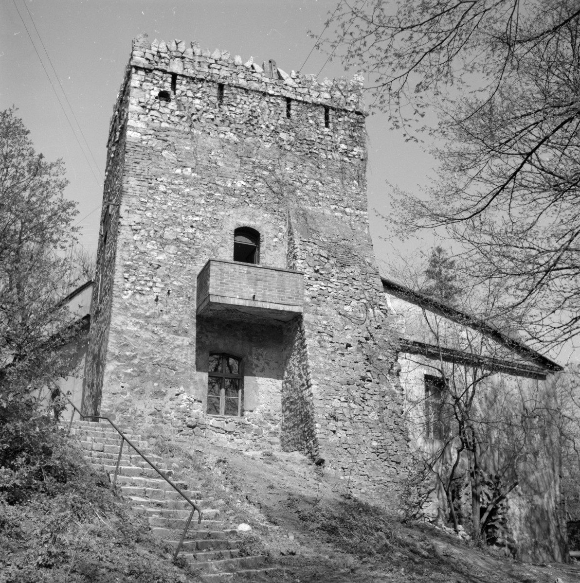 pałac von Strachwitzów - Mysia Wieża - elewacja frontowa /wschodnia/, skan 1