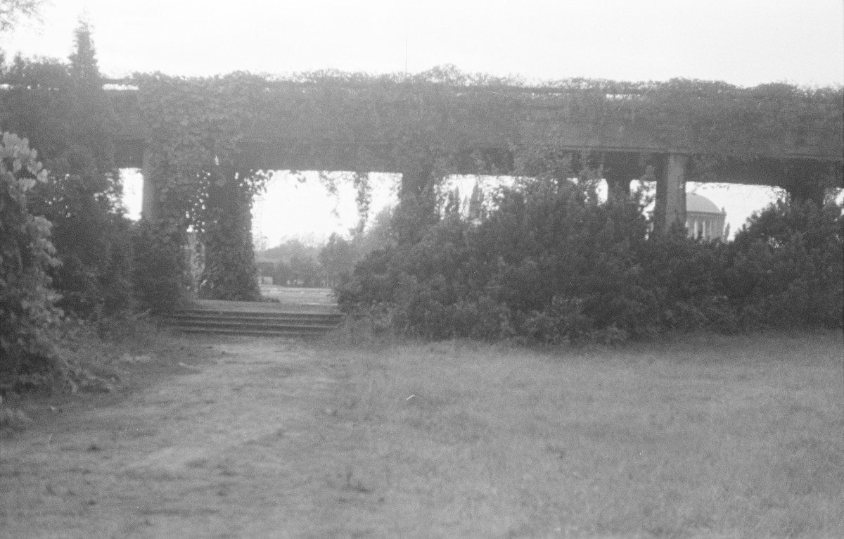 park Szczytnicki - park japoński - pergola, skan 1