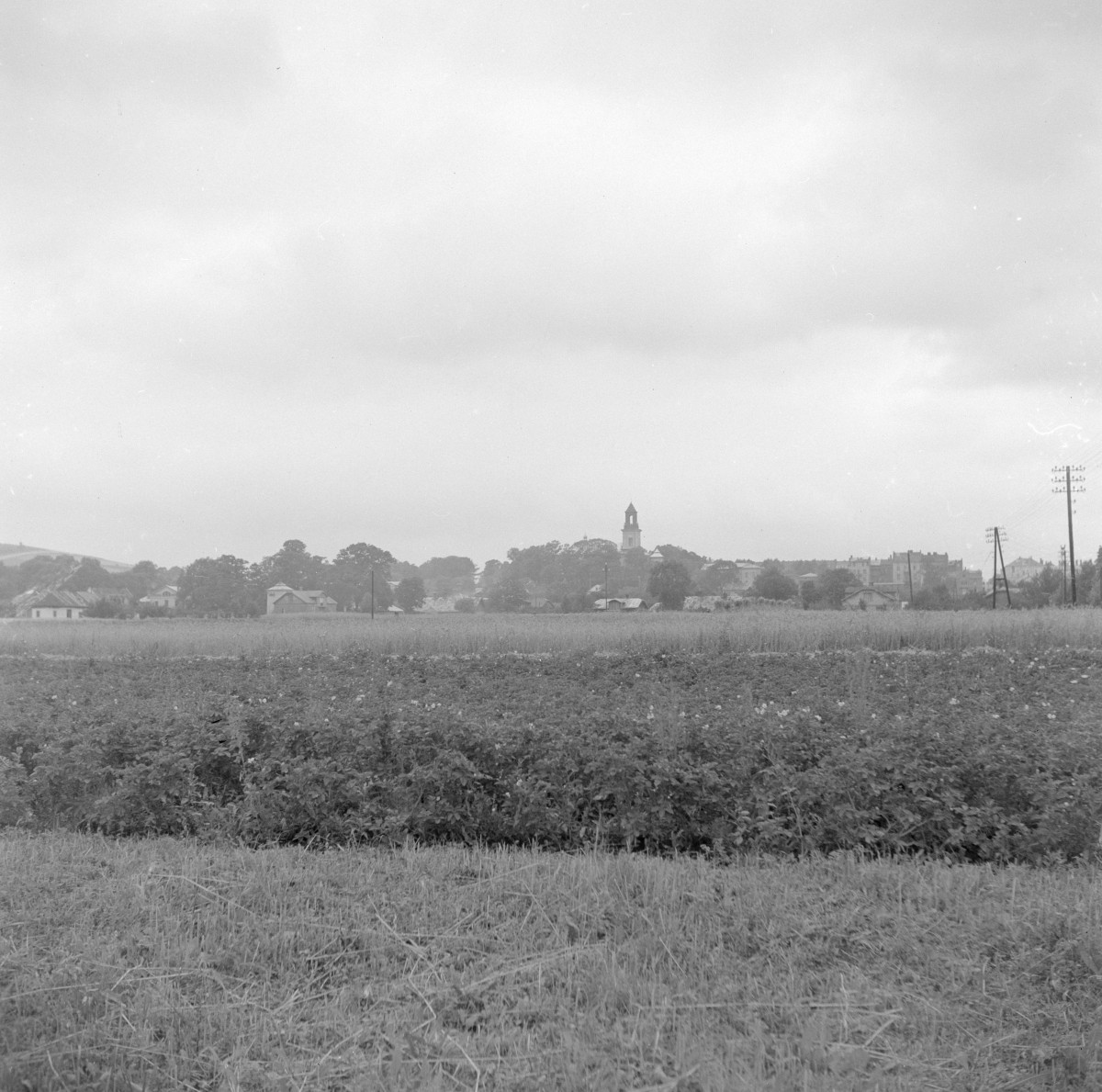 panorama miasta od strony północno-wschodniej, skan 1