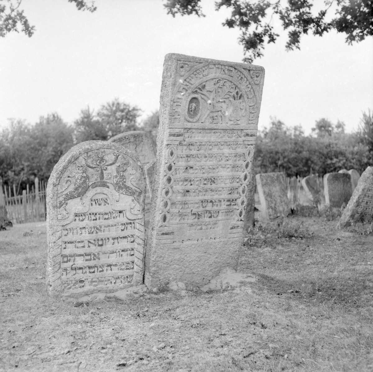Cmentarz, Kirkut - macewy, skan 1