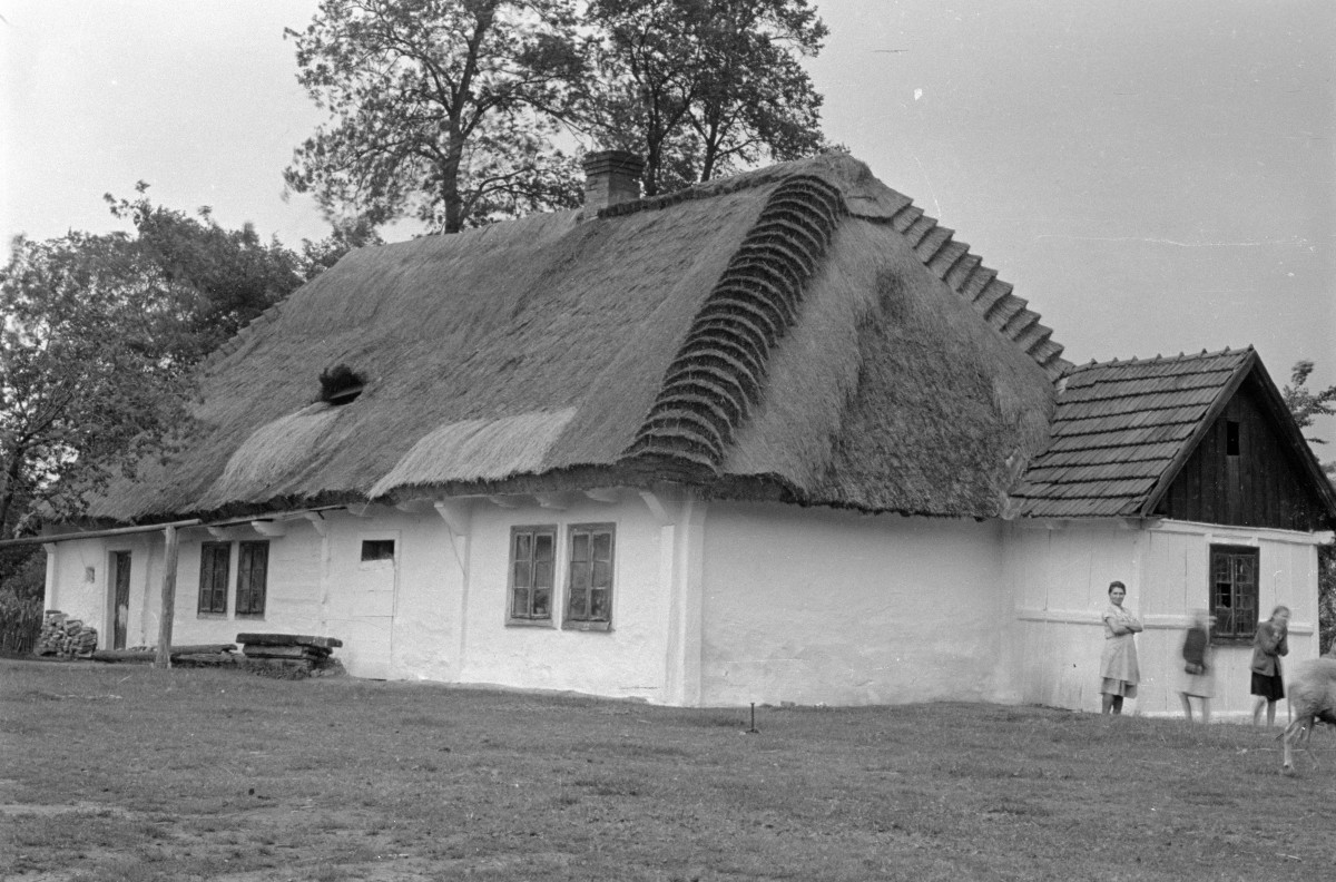 chałupa, skan 1