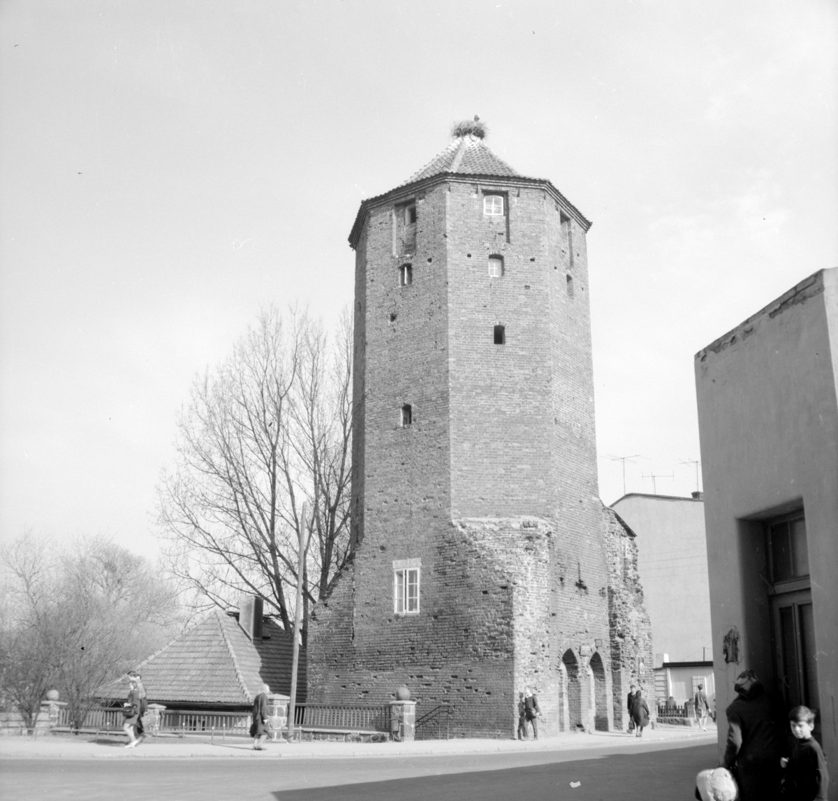 Wieża Mazurska (Bociania) - widok ogólny, skan 1