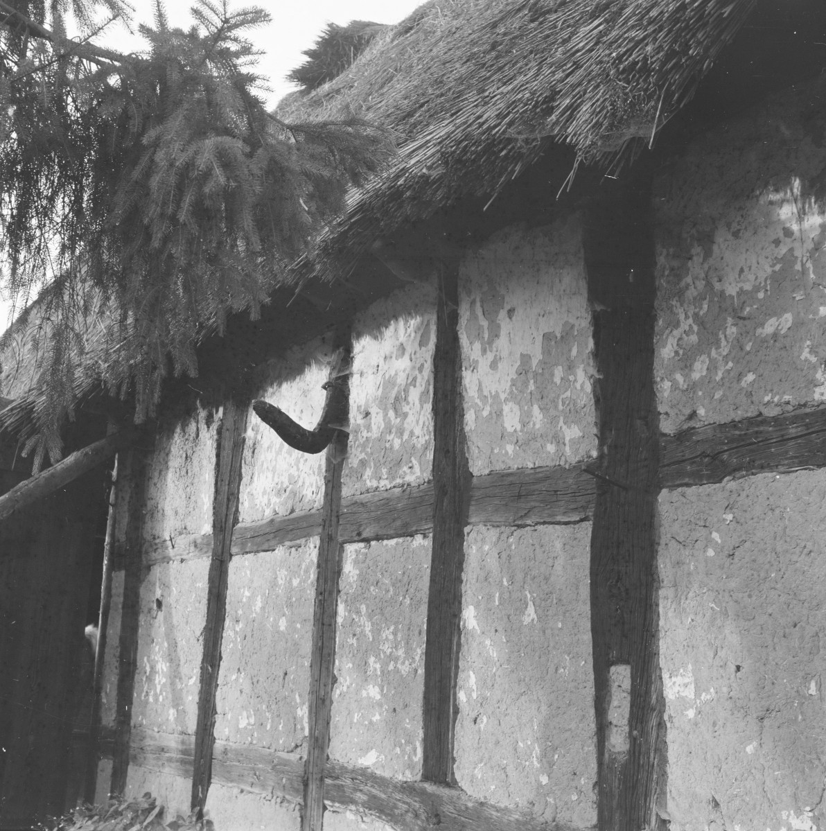 stodoła - elewacja szachulcowa, fragment, skan 1