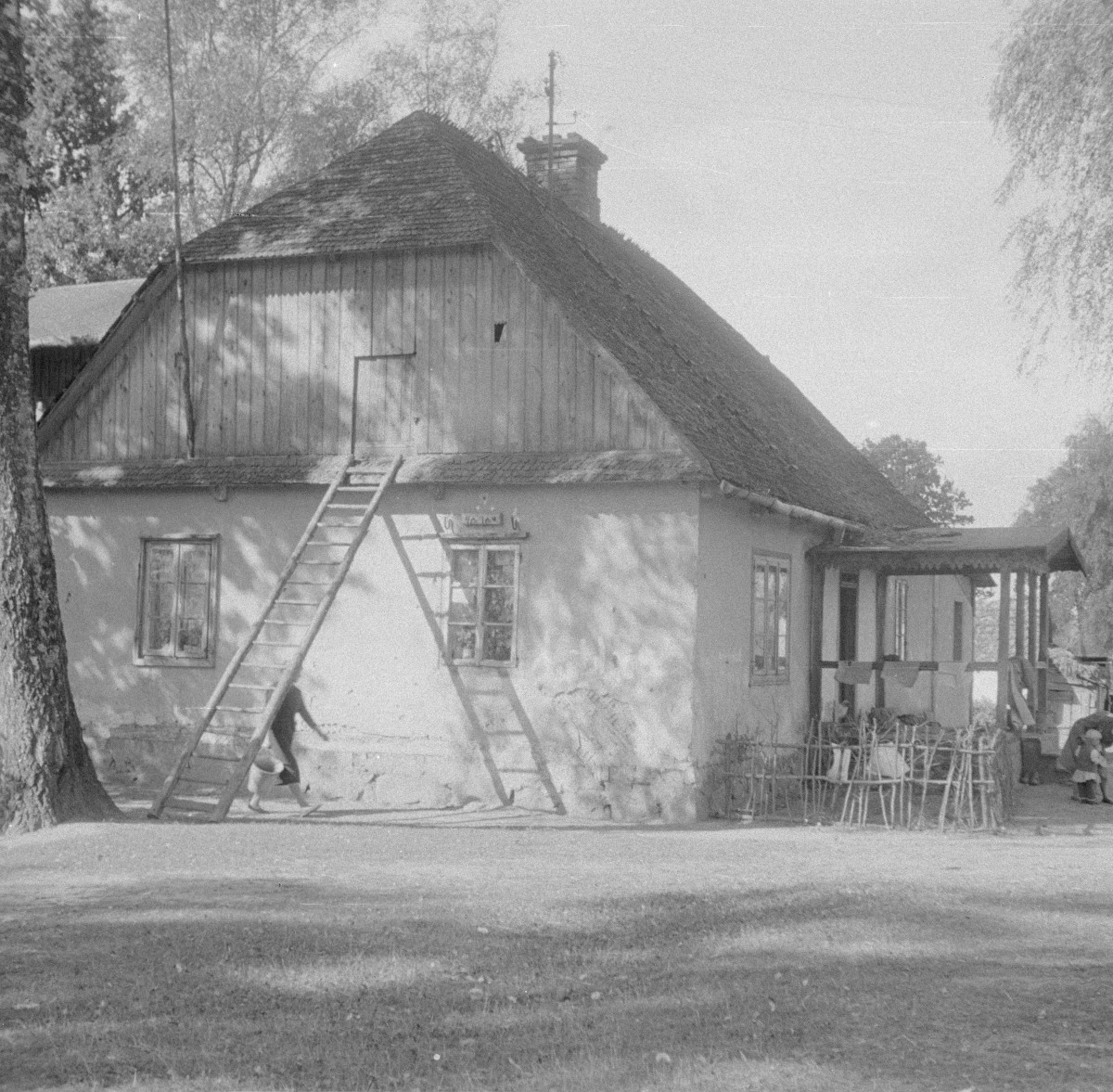 dwór - widok ogólny, skan 1