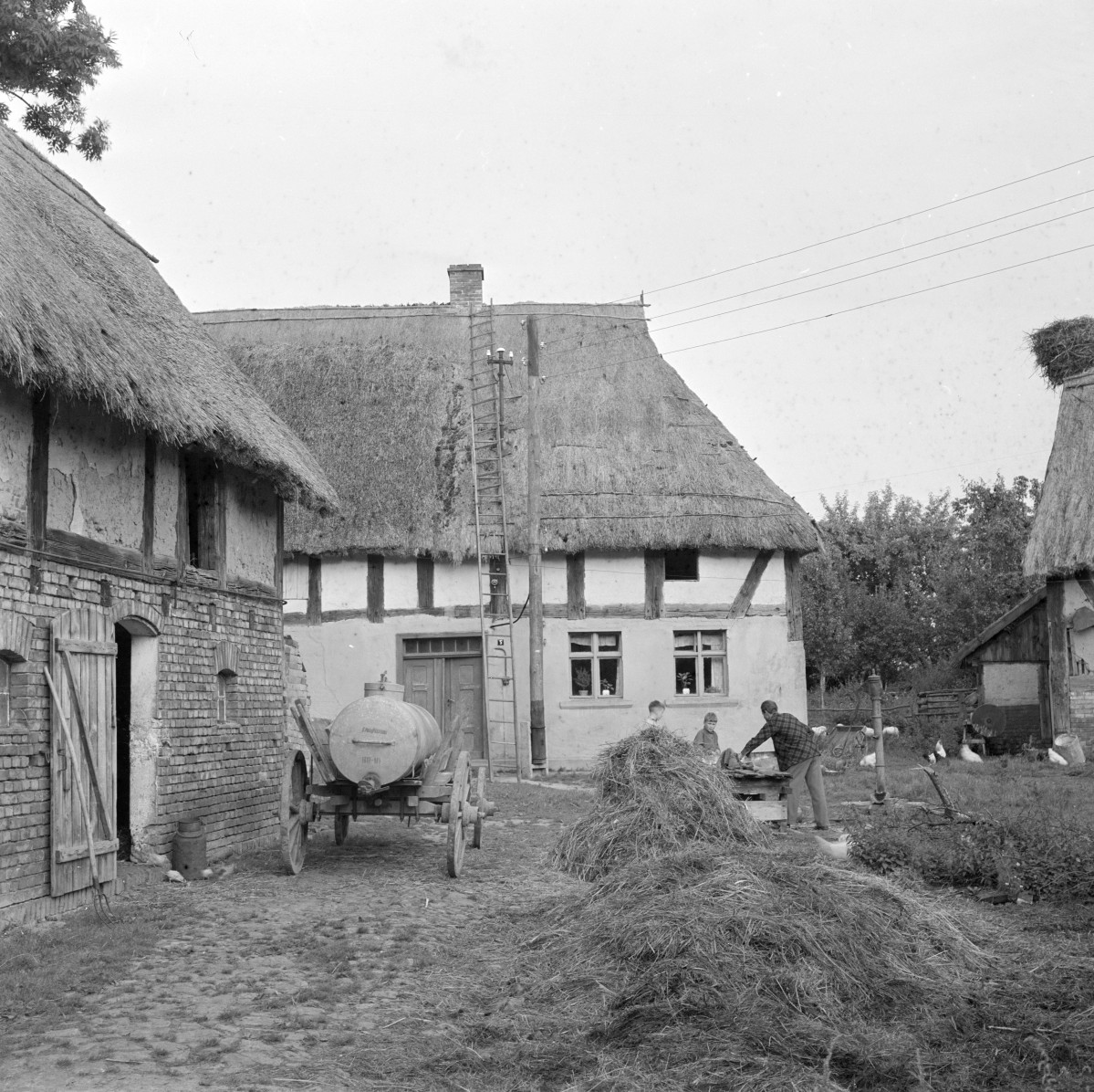 zespół dworski - budynek gospodarczy, prace gospodarcze, skan 1