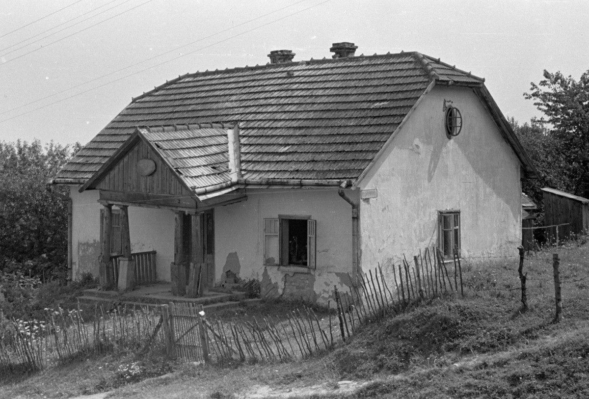 podmiejski domek mieszkalny (dworek?), elewacja frontowa, skan 1