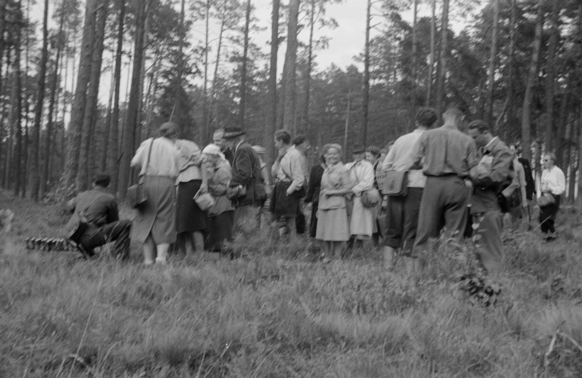 las, zjazd geologów, skan 1