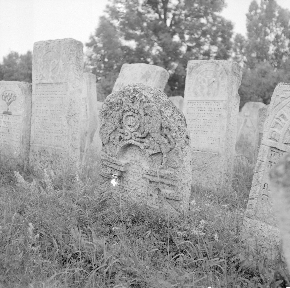 Cmentarz, Kirkut - macewy, skan 1
