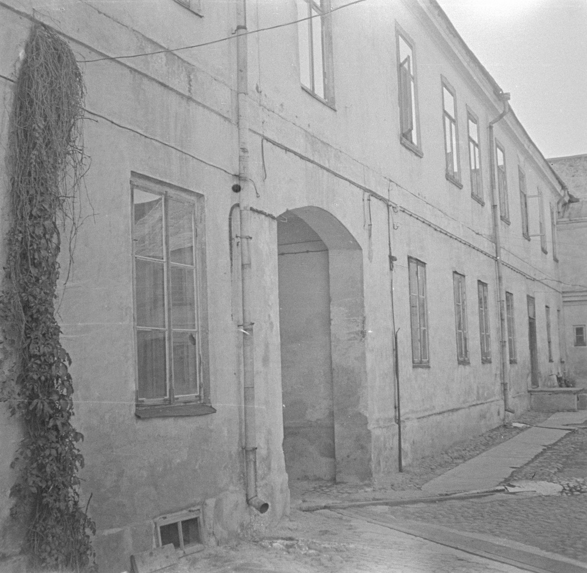 dom, kamienica - elewacja od podwórza, skan 1