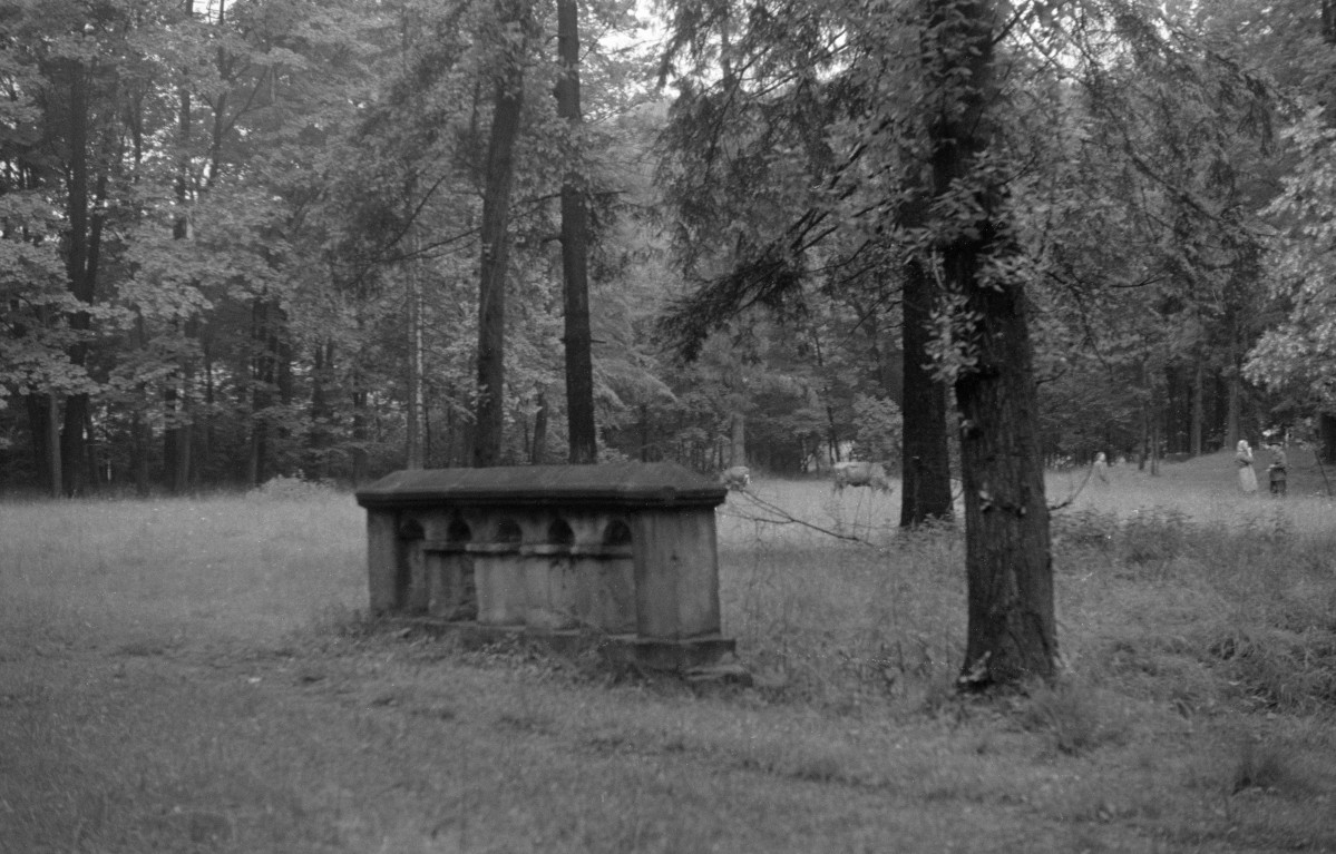 zamek Komorowskich - zespół pałacowo parkowy, skan 1