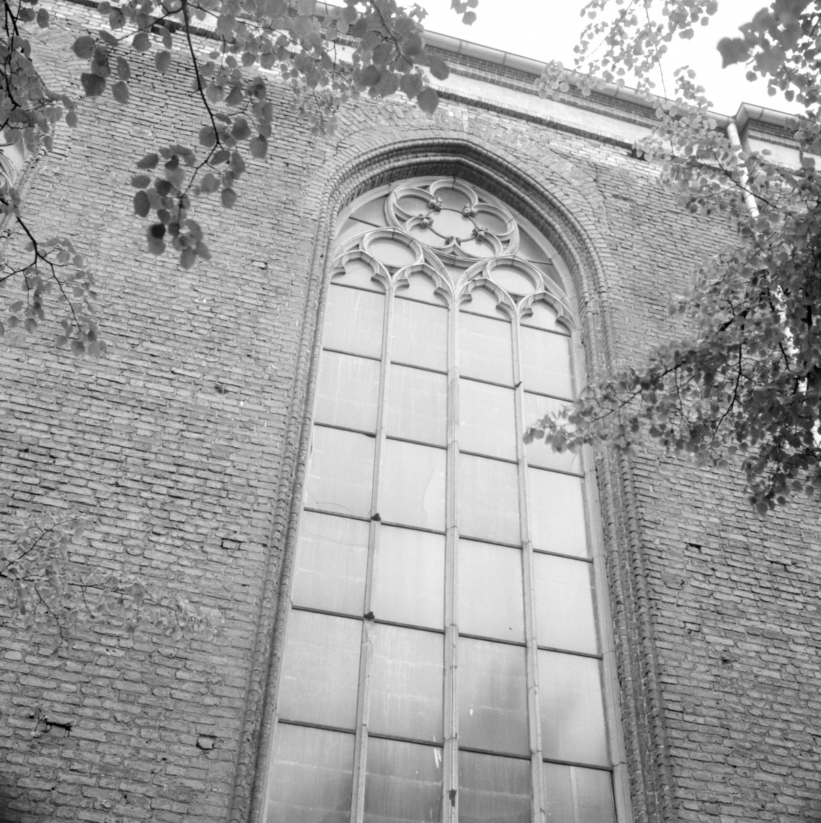 kościół rzymskokatolicki, ob. katedra pw. św. Mikołaja - elewacja południowa, okno, skan 1