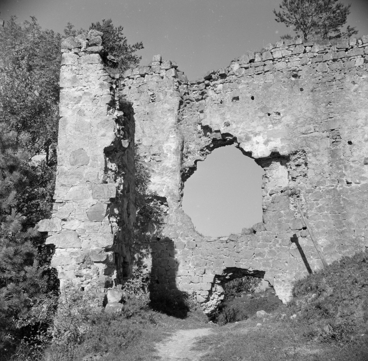 ruina Zamku Kamieniec - fragment ściany, skan 1