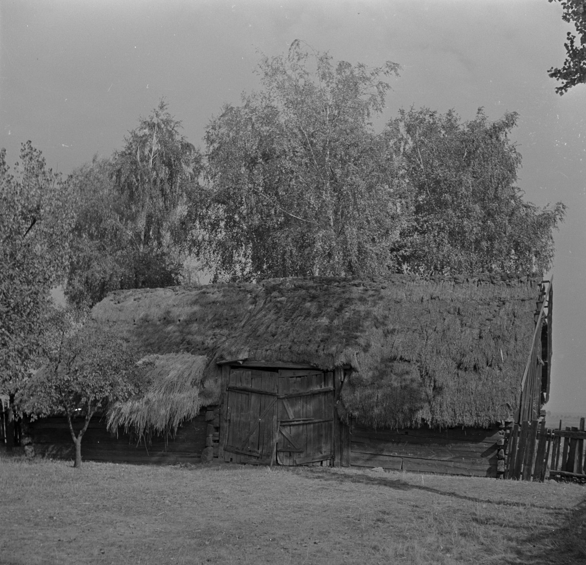 stodoła - elewacja , skan 1