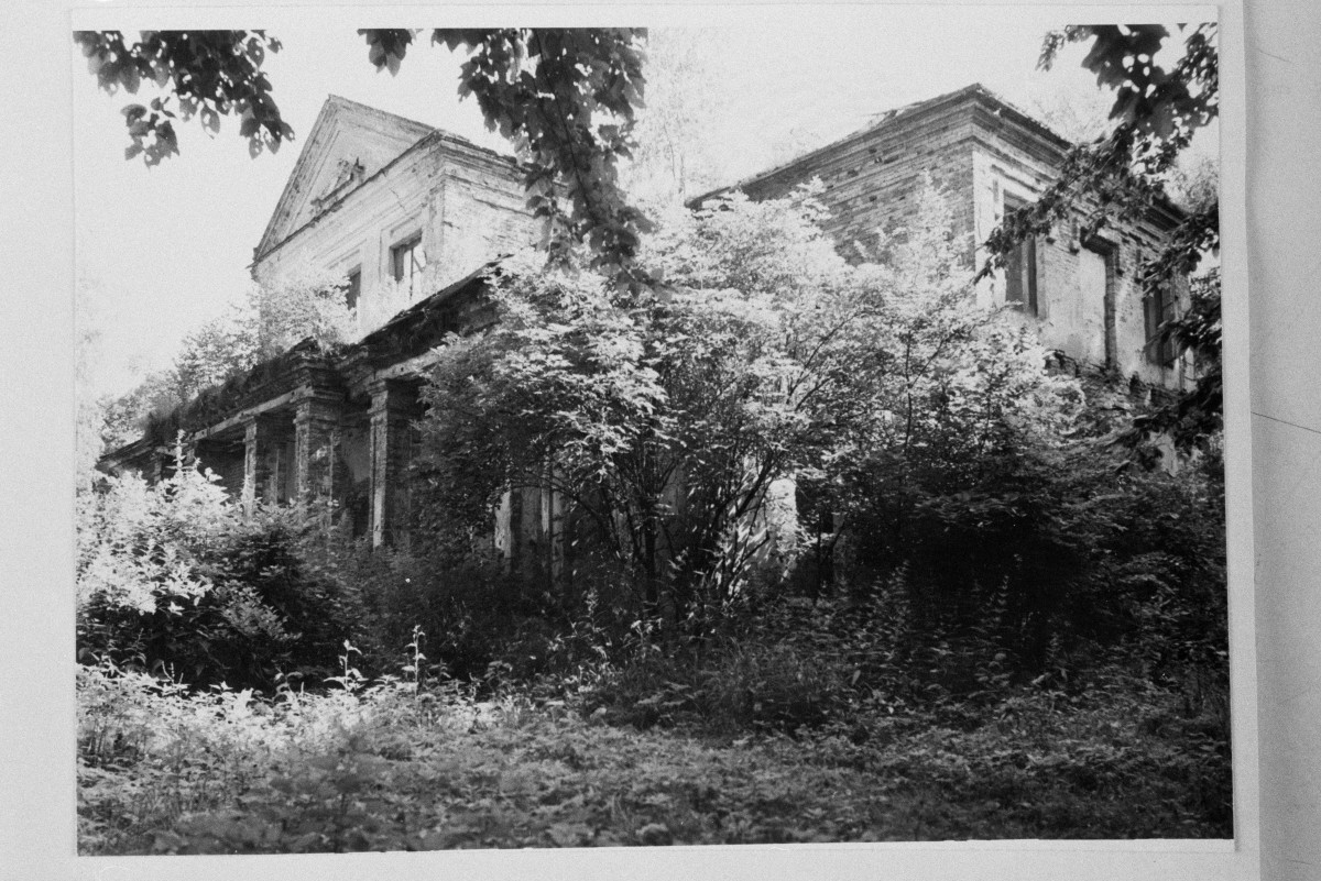 pałac Wężyków - ruina - widok od południowego - zachodu, skan 1