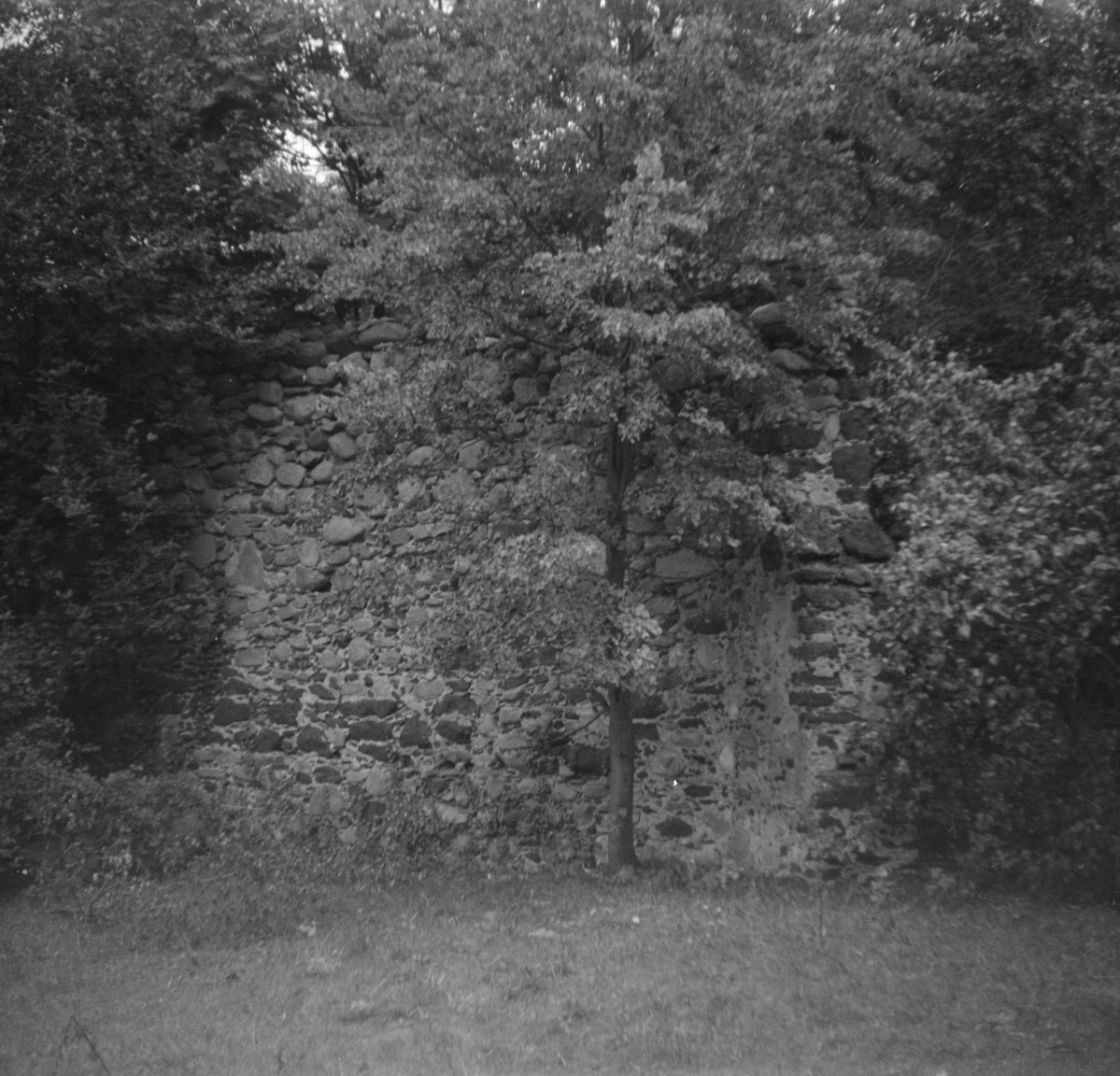 park pałacowy, skan 1