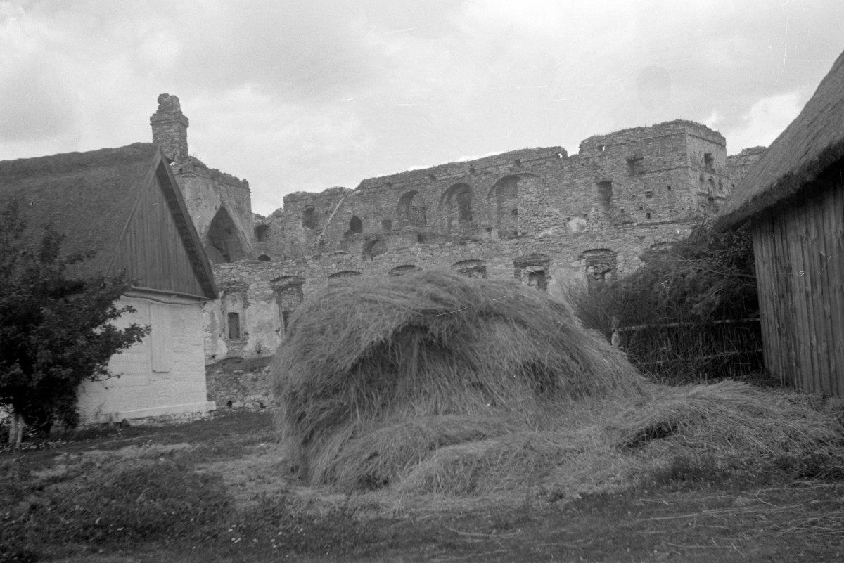 zamek Krzyżtopór, ruiny zamku, skan 1