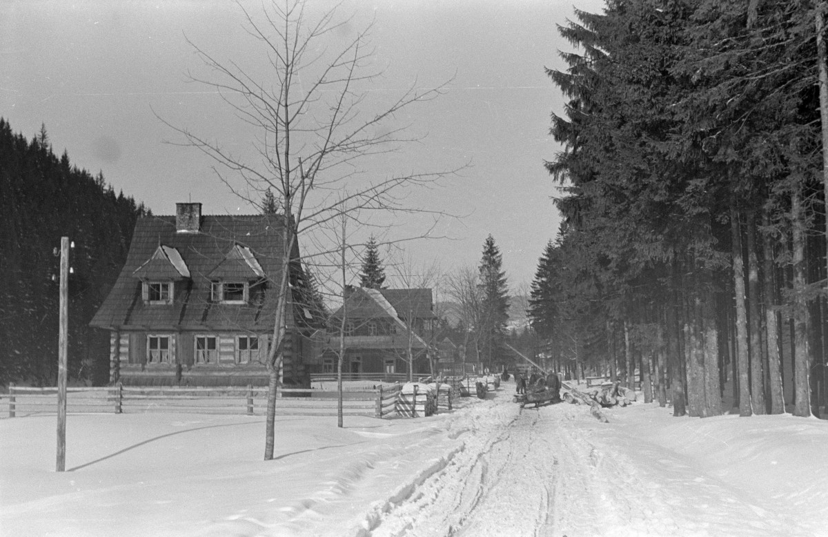 Dolina Kościeliska - widok ogólny, skan 1