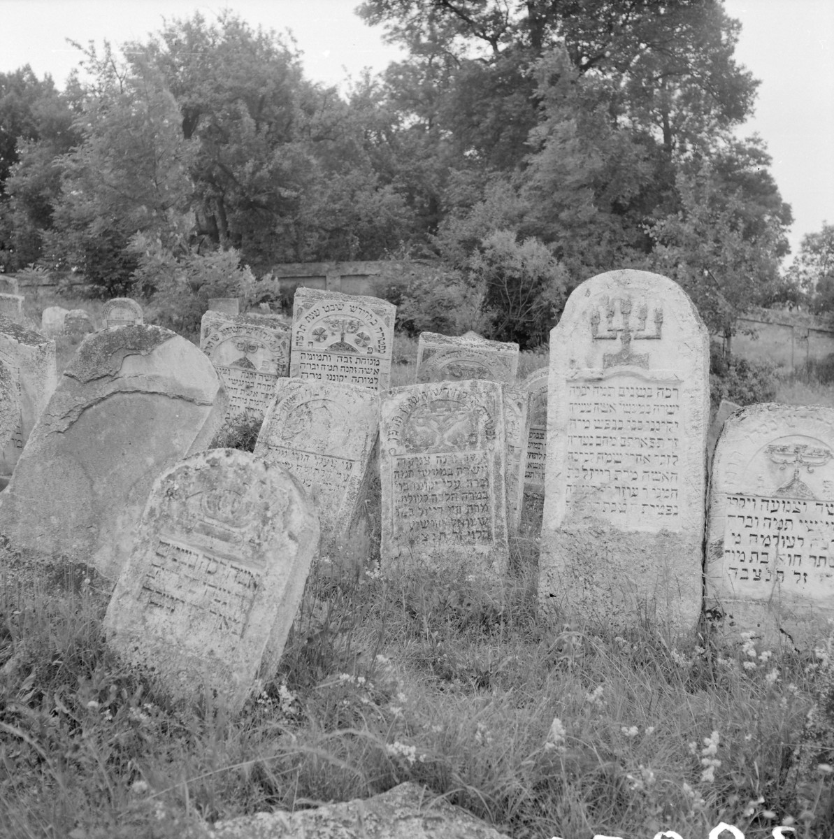 Cmentarz, Kirkut - macewy, skan 1