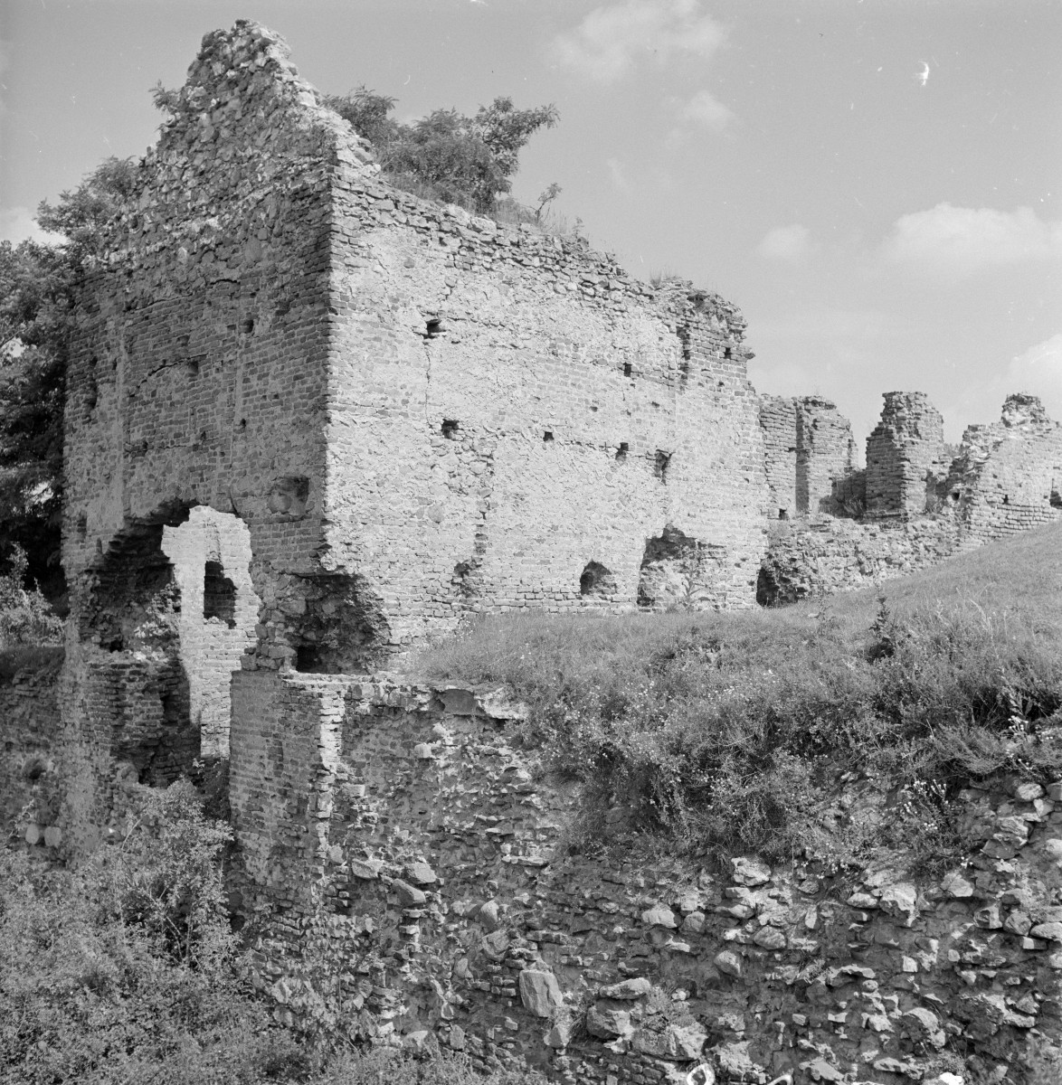 zamek bastionowy - ruiny, skan 1
