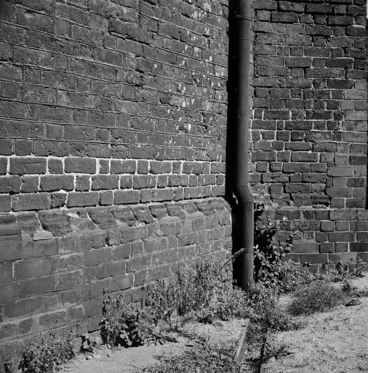 katedra św. Mikołaja Biskupa - cokół, fragment przy skarpie, skan 1