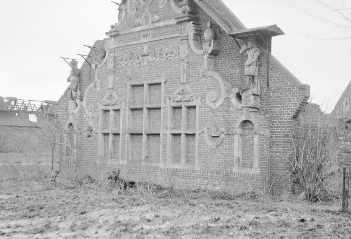 zamek - dom w ogroddzie zamkowym, skan 1
