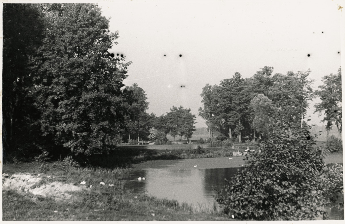Zespół pałacowo - parkowy,  fragment parku - widok na stawy , skan 1