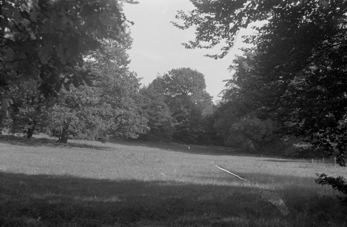 park Szczytnicki - fragment, skan 1