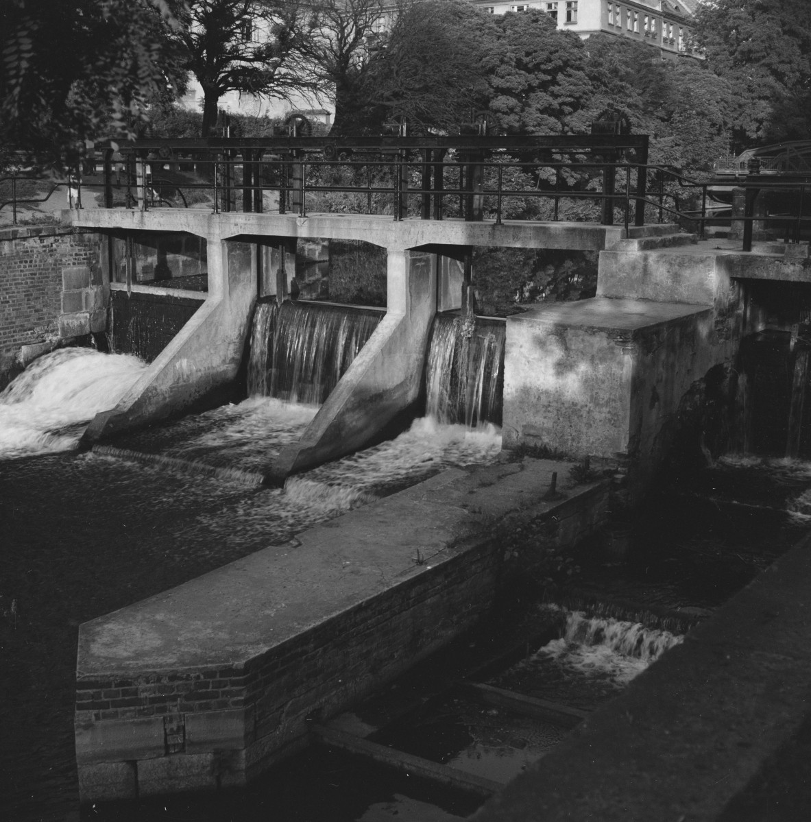 dawny folusz - tama, skan 1